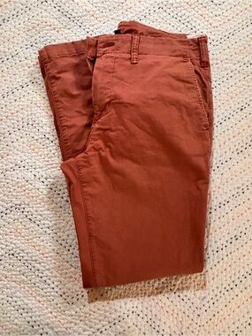 American Eagle Outfitters Men's Burnt Orange Chino Pants